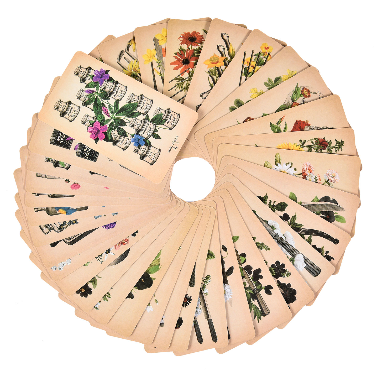 The Antique Anatomy Tarot Card - Board Game Oracle ulasan dan harga
